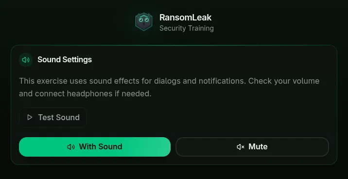 Audio settings prompt